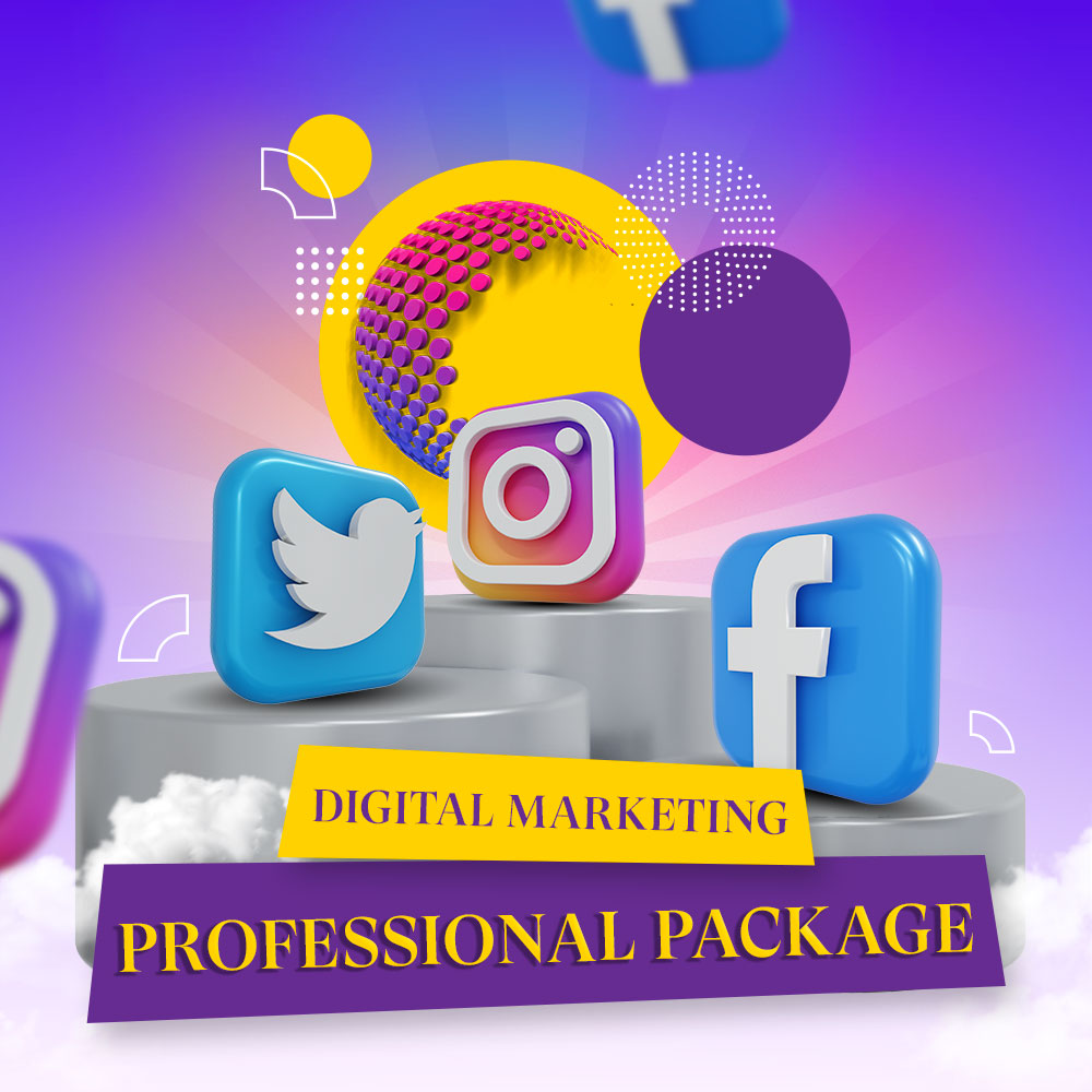 Professional Package (Digital Marketing)